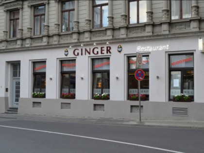 照片: Ginger